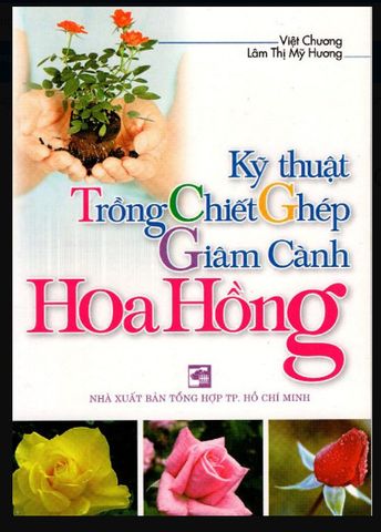 Kỹ Thuật Trồng Chiết Ghép Giâm Cành Hoa Hồng