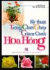 Kỹ Thuật Trồng Chiết Ghép Giâm Cành Hoa Hồng