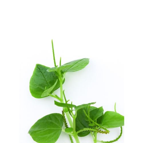 Rau càng cua có tác dụng gì?