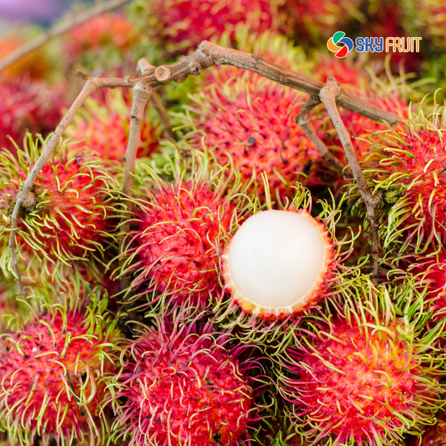 Chôm chôm – SKY FRUIT