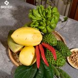  Đu đủ vàng 