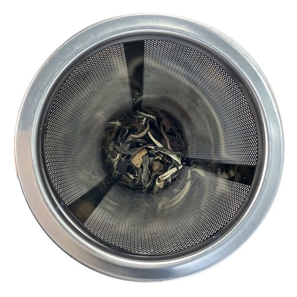 Ấm siêu tốc thủy tinh kèm lõi lọc trà - đèn Led Dozzi Úc 1.7L