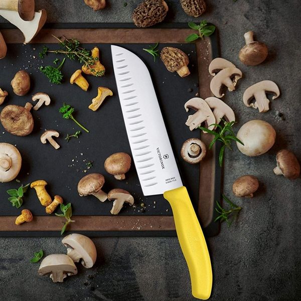 Dao thái victor inox