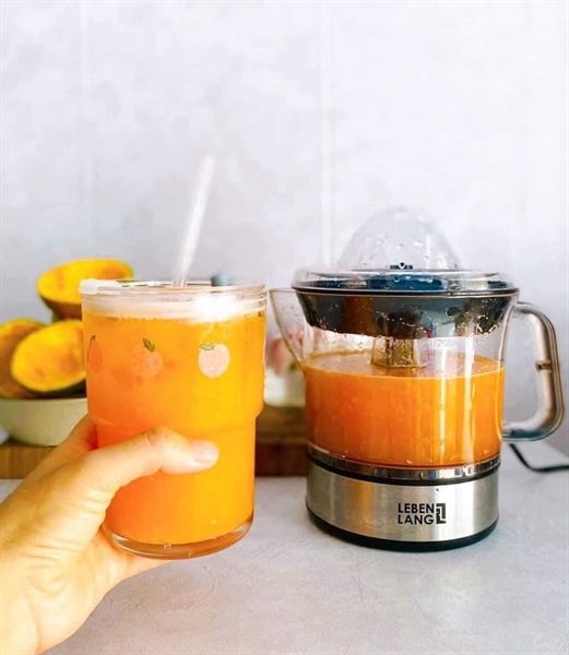 Máy vắt cam Lebenlang