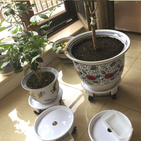 Đế chuyển cây có khay hứng nước