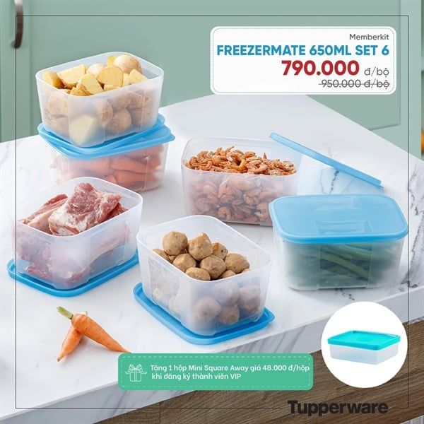 Hộp Tupperware ngăn đông Set 6 650ml