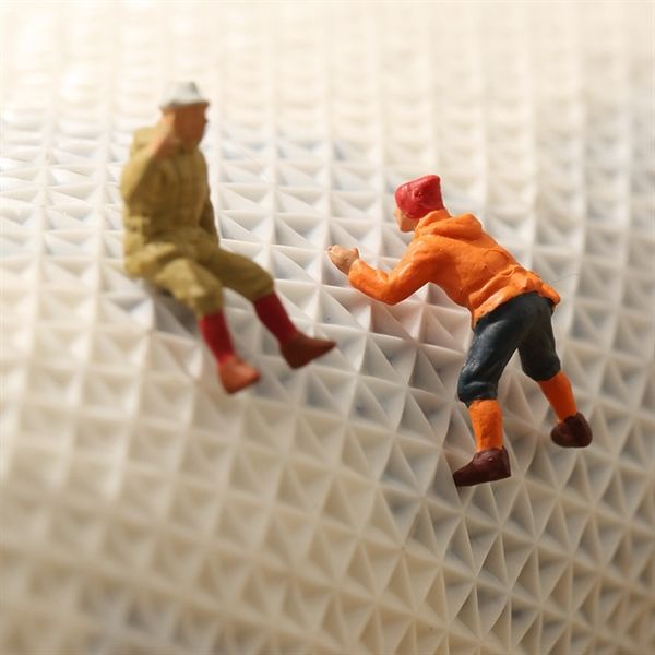 Thảm Sợi Chống Trượt 2 Bông Hoa 50*80cm