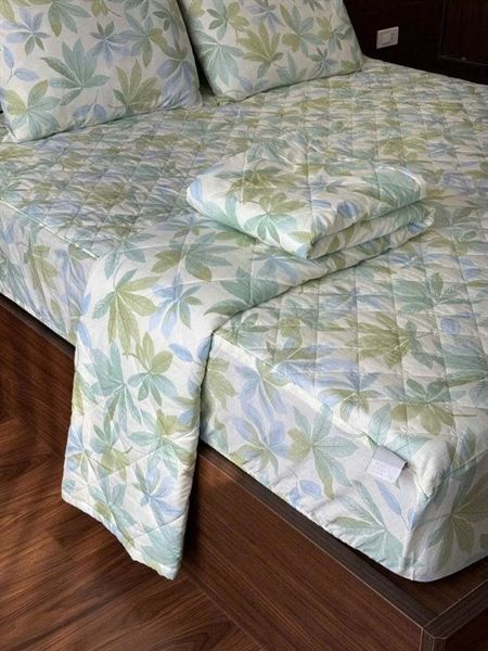 Bộ ga chần cotton 100% kèm 2 vỏ gối Kawa