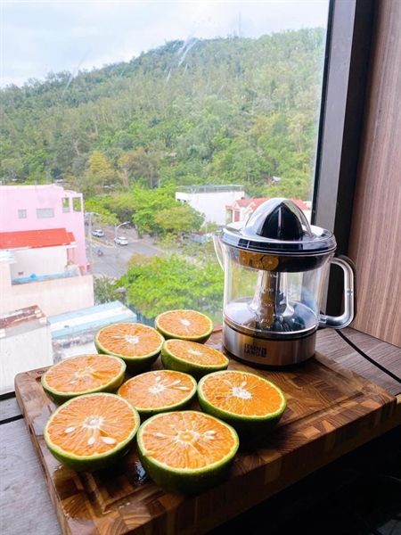 Máy vắt cam Lebenlang