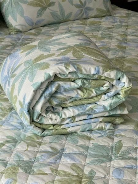 Bộ ga chần cotton 100% kèm 2 vỏ gối Kawa