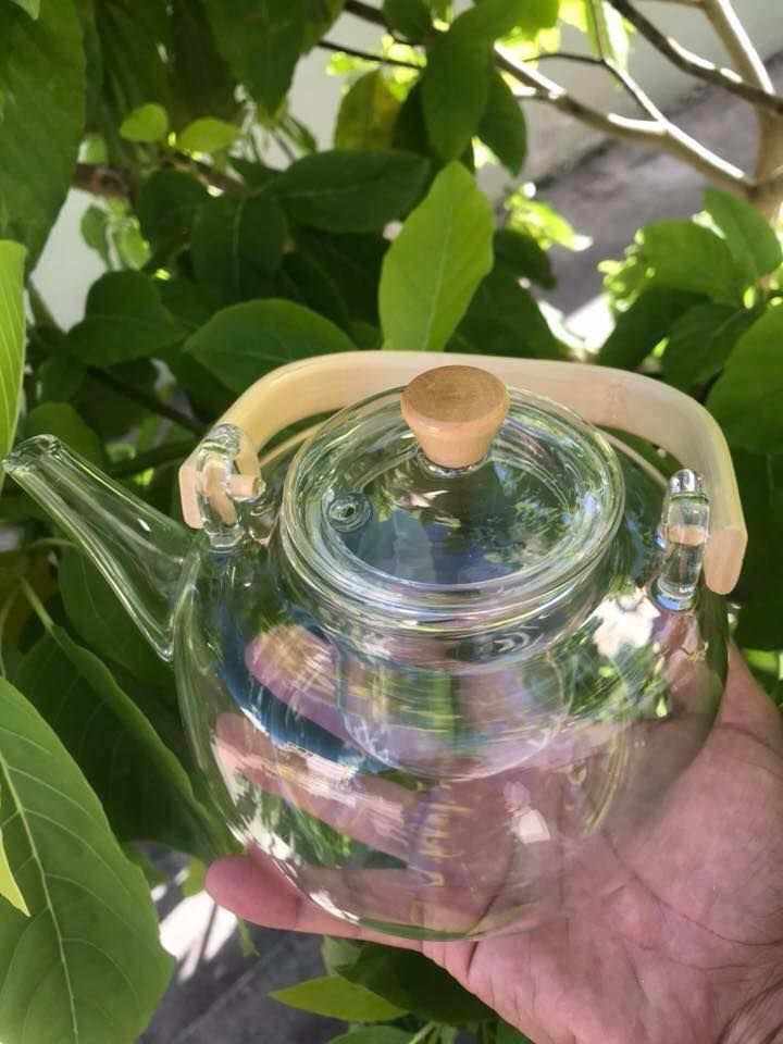 Bình trà thủy tinh chịu nhiệt 900ml quai gỗ