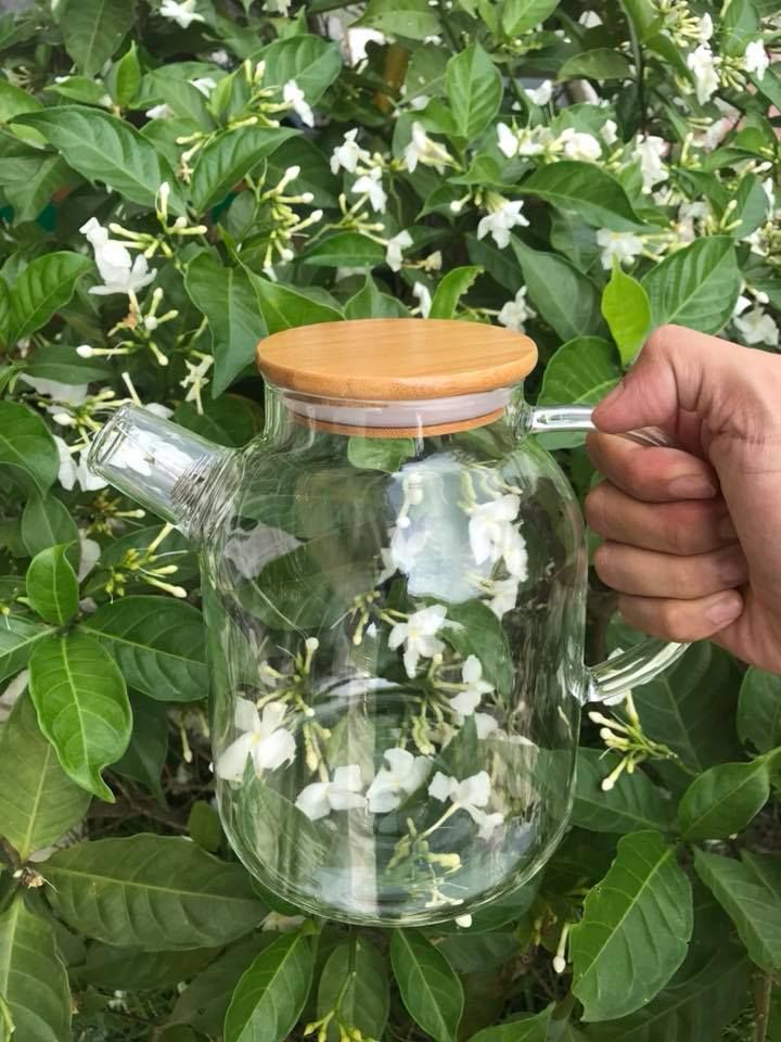 Bình trà thủy tinh 1.6l