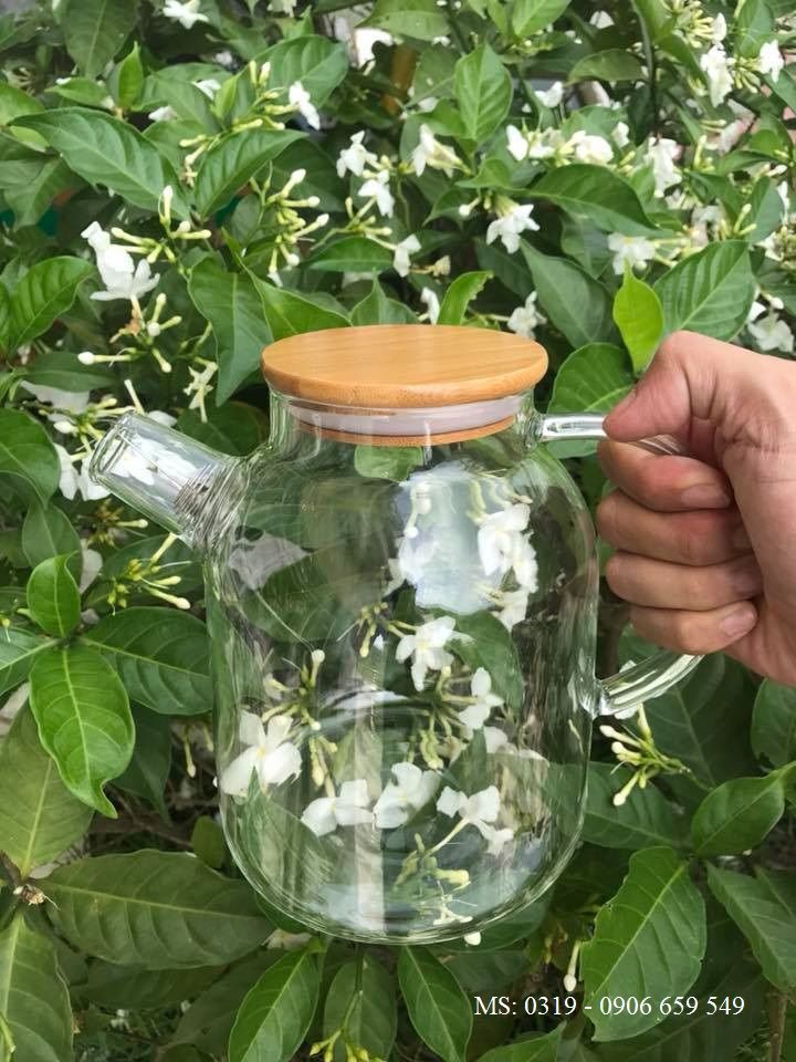 Bình trà thủy tinh 1.6l