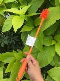 Cây rửa cốc chai IKEA MEDELVAG