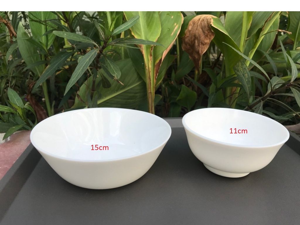 Tô chén đĩa thủy tinh cường lực IKEA OFTAST