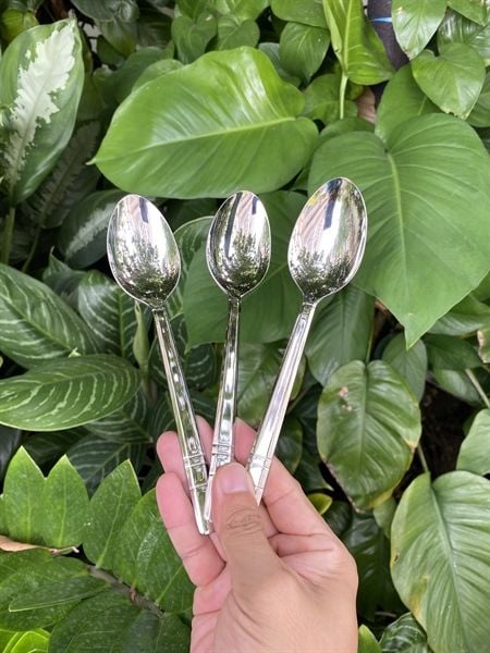 Muỗng Inox cao cấp 18/10