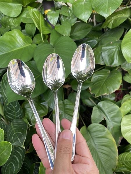 Muỗng Inox cao cấp 18/10
