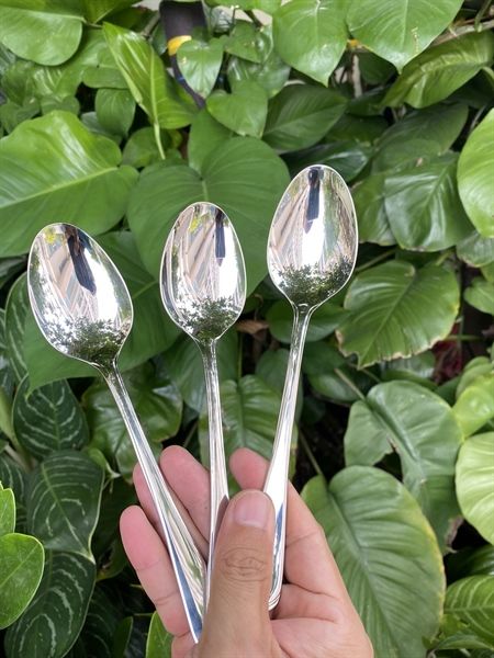 Muỗng Inox cao cấp 18/10