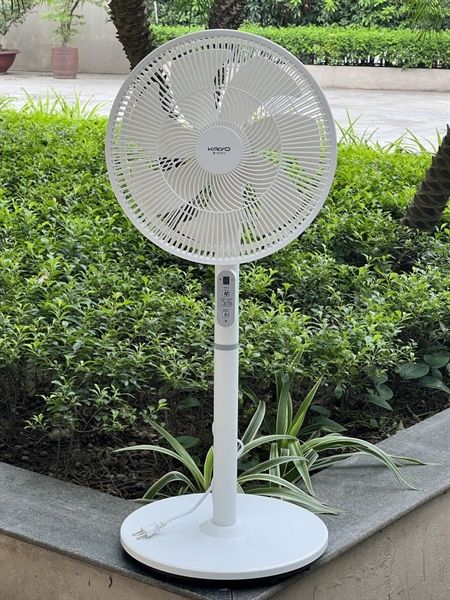 Quạt cây 7 cánh điều khiển từ xa Kaiyo Nhật
