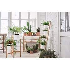Giá Kệ để cây BẬC THANG IKEA SATSUMAS
