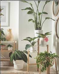 Giá để chậu cây 3 KHAY IKEA SATSUMAS