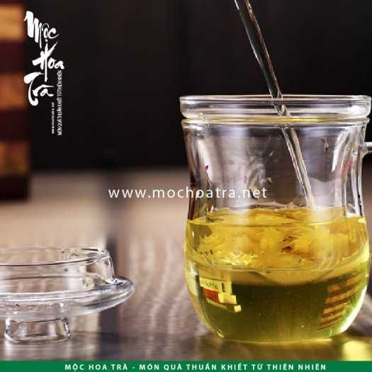 Ly trà thủy tinh có lõi lọc
