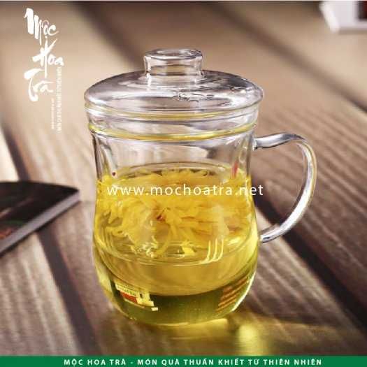 Ly trà thủy tinh có lõi lọc