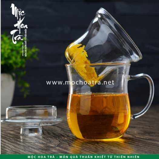 Ly trà thủy tinh có lõi lọc