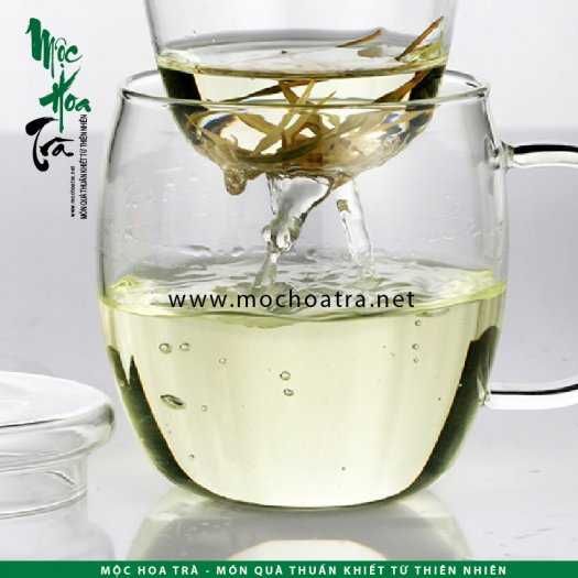 Ly trà thủy tinh có lõi lọc