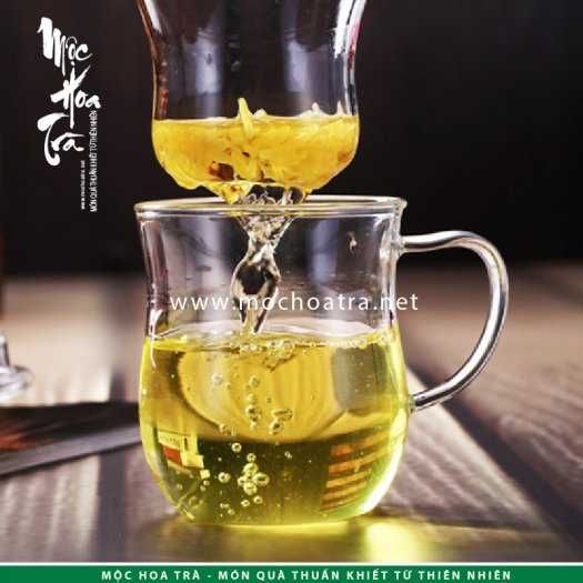 Ly trà thủy tinh có lõi lọc