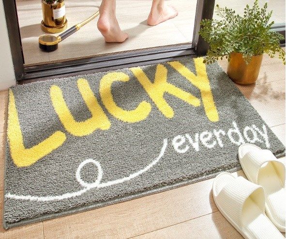 Thảm lau chân phòng tắm phòng khách 40*60cm