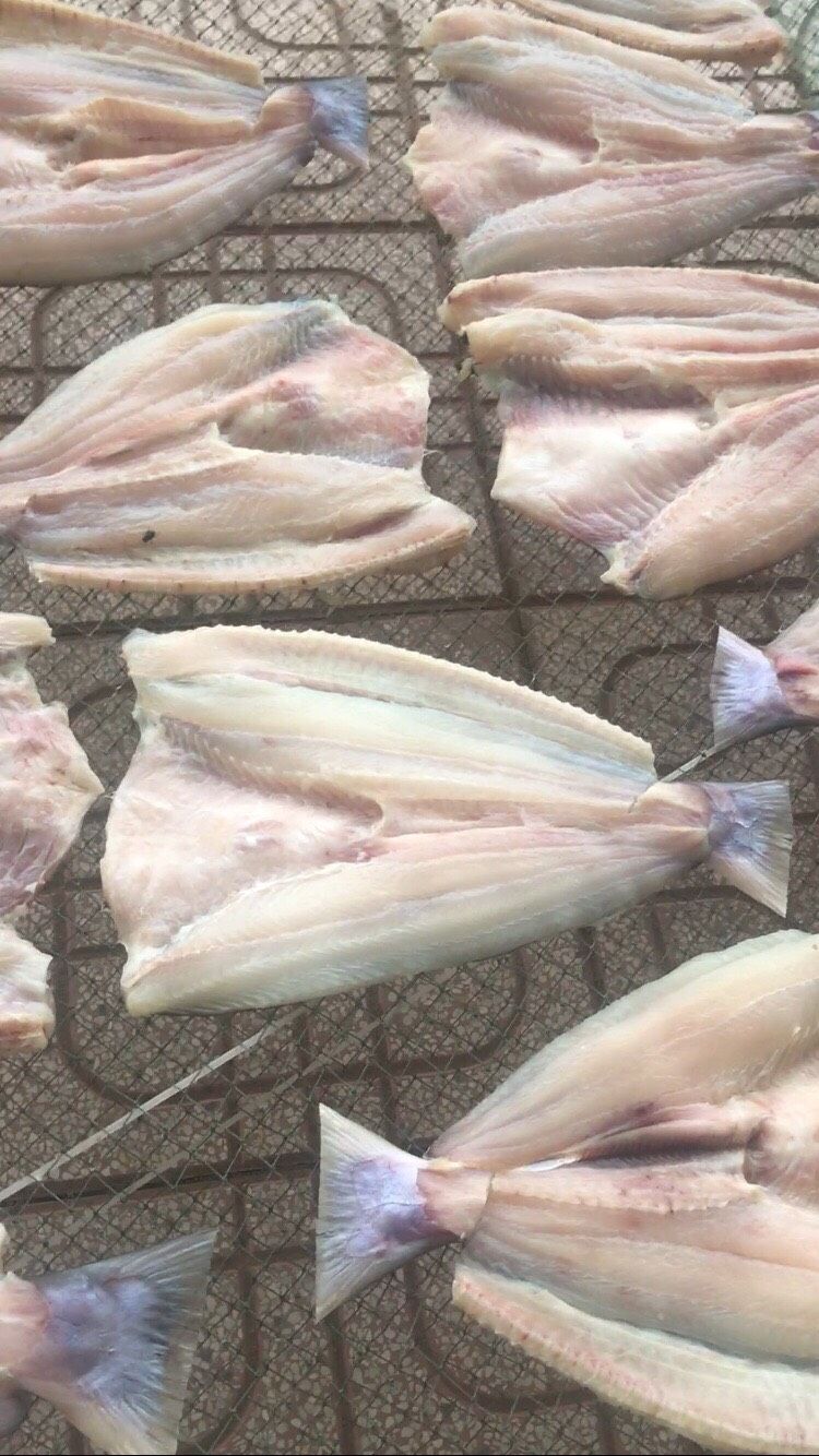  Cá dứa 1 nắng 
