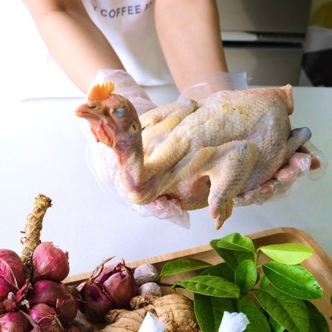  Gà chân chì long an 