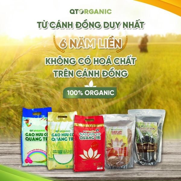  Gạo hữu cơ Quảng Trị 