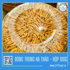 Đông Trùng Hạ Thảo - PREMIUM - Hộp 100G