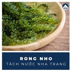 RONG NHO TÁCH NƯỚC NHA TRANG - Đặc Sản Khánh Hoà