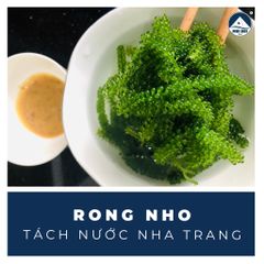 RONG NHO TÁCH NƯỚC NHA TRANG - Đặc Sản Khánh Hoà