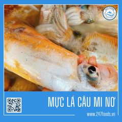 Mực lá câu mi nơ - Đặc Sản Biển Nha Trang