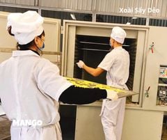 COMBO XOÀI SẤY DẺO - 1kg gồm 2 túi 500g Vị Nguyên Bản & Vị Muối Ớt