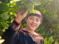 BƯỞI ĐEN ORGANIC - Thảo Dược Lên Men