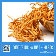 ĐÔNG TRÙNG HẠ THẢO SẤY KHÔ - 20g