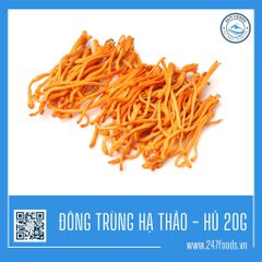 ĐÔNG TRÙNG HẠ THẢO SẤY KHÔ - 20g