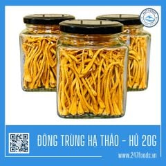 ĐÔNG TRÙNG HẠ THẢO SẤY KHÔ - 20g