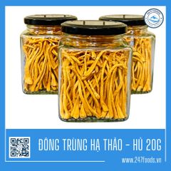 ĐÔNG TRÙNG HẠ THẢO SẤY KHÔ - 20g