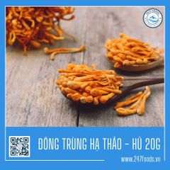 ĐÔNG TRÙNG HẠ THẢO SẤY KHÔ - 20g