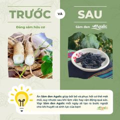 SÂM ĐEN ORGANIC - Thảo Dược Lên Men