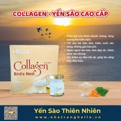 Collagen - Yến sào