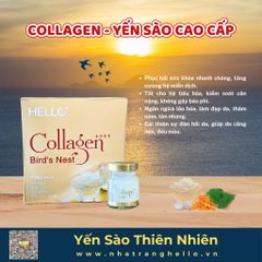 Collagen - Yến sào