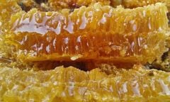 MẬT ONG RỪNG TÂY BẮC - 500g