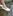 Giày nhựa đi mưa Nữ Leedo PVC 05 Trắng